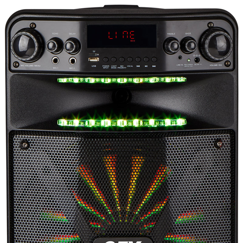 High power 12 inch Rechargeable bluetooth karaoke speaker with mic